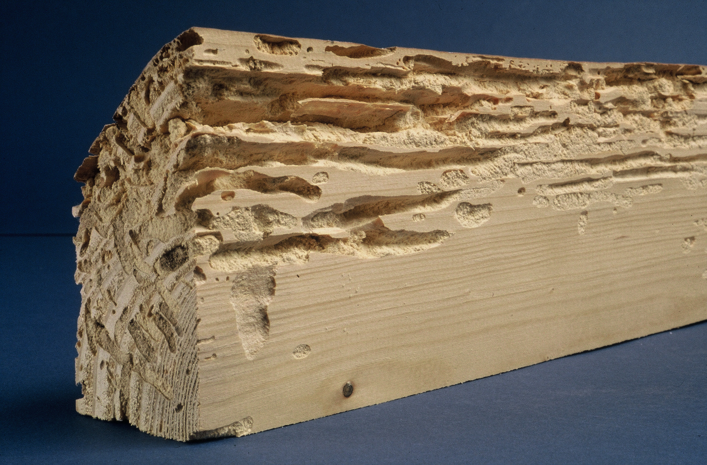 Traitement de charpente, bois à Chaumont